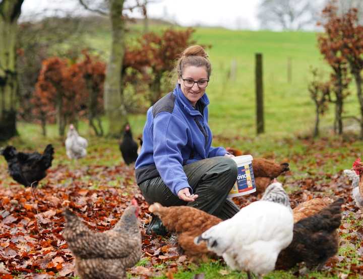 Female vet crouching down to feed chickens